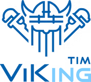 Viking Tim